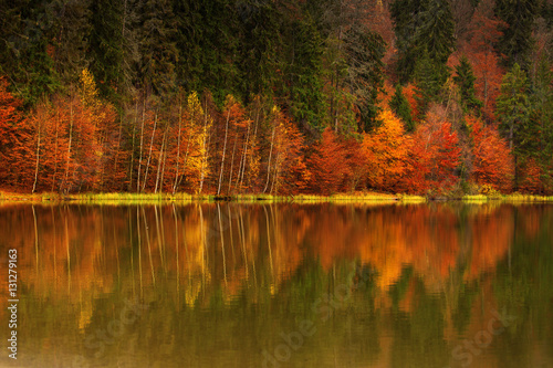 lake near a forest in great autumn