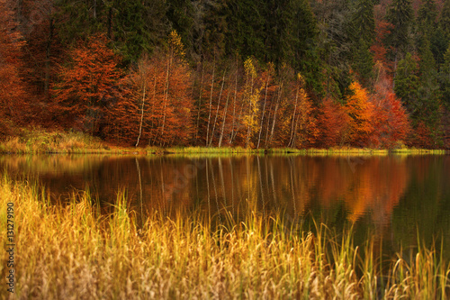 lake near a forest in great autumn