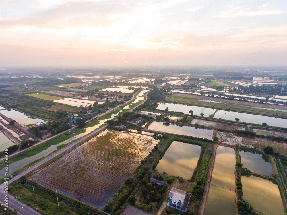 Aerial view of Rice farm with Water Surface and Electicity Tower