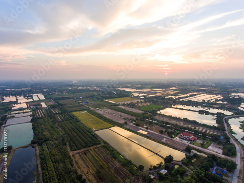 Aerial view of Rice farm with Water at Sunset.