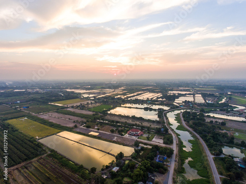 Aerial view of Rice farm with Water at Sunset.