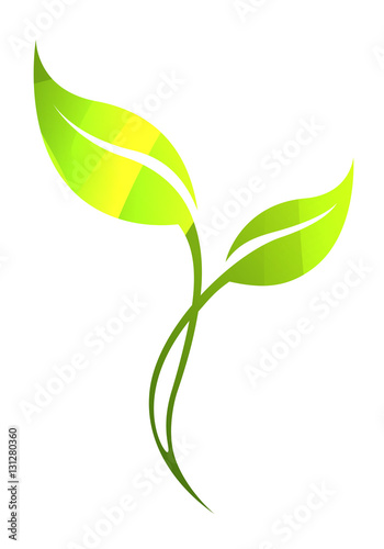 Vector stylized silhouette of spring green tree leaf isolated on