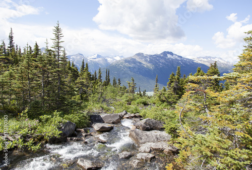 Alaskan Mountain Stream
