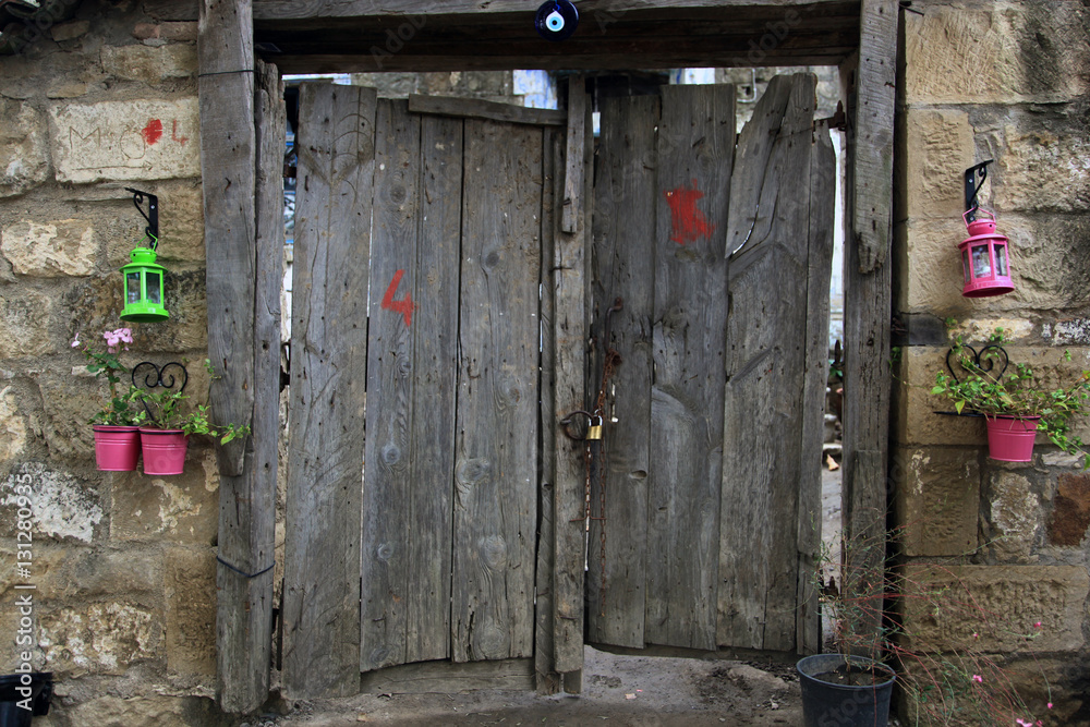 Wooden Door in the Village