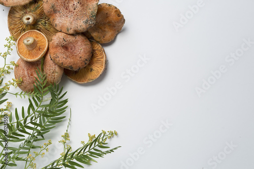 Mushrooms stacked on a white background, with decoration next to it.