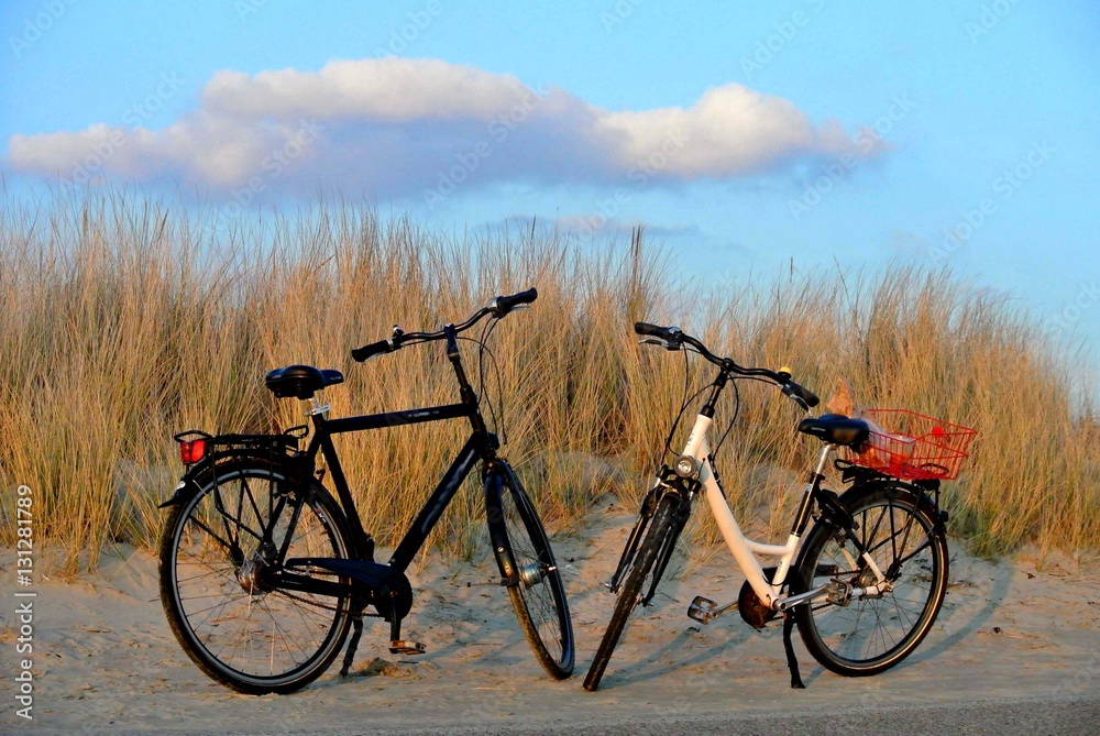 bicycles on the dune