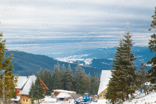 Landscape. Snow-capped mountains and pine forests.