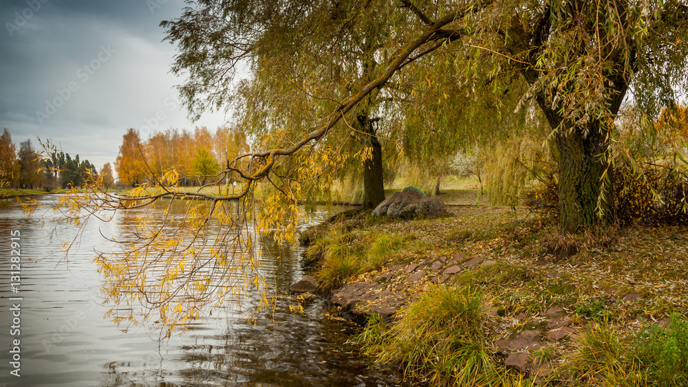 autumn landscape. the coast of the city water channel, the river, a stream with trees autumn landscape. the coast of the city water channel, the river, a stream with trees