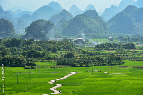 Rice terrace Longji in Guilin ,China photo