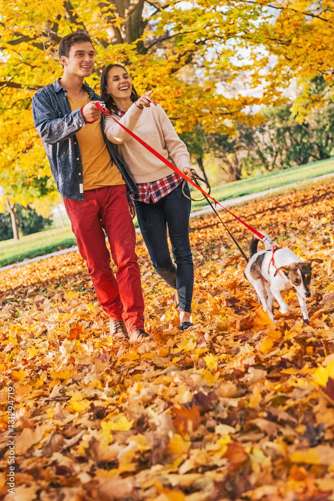 Happy young couple with two cute dogs walking in park Happy young couple with two cute dogs walking in park