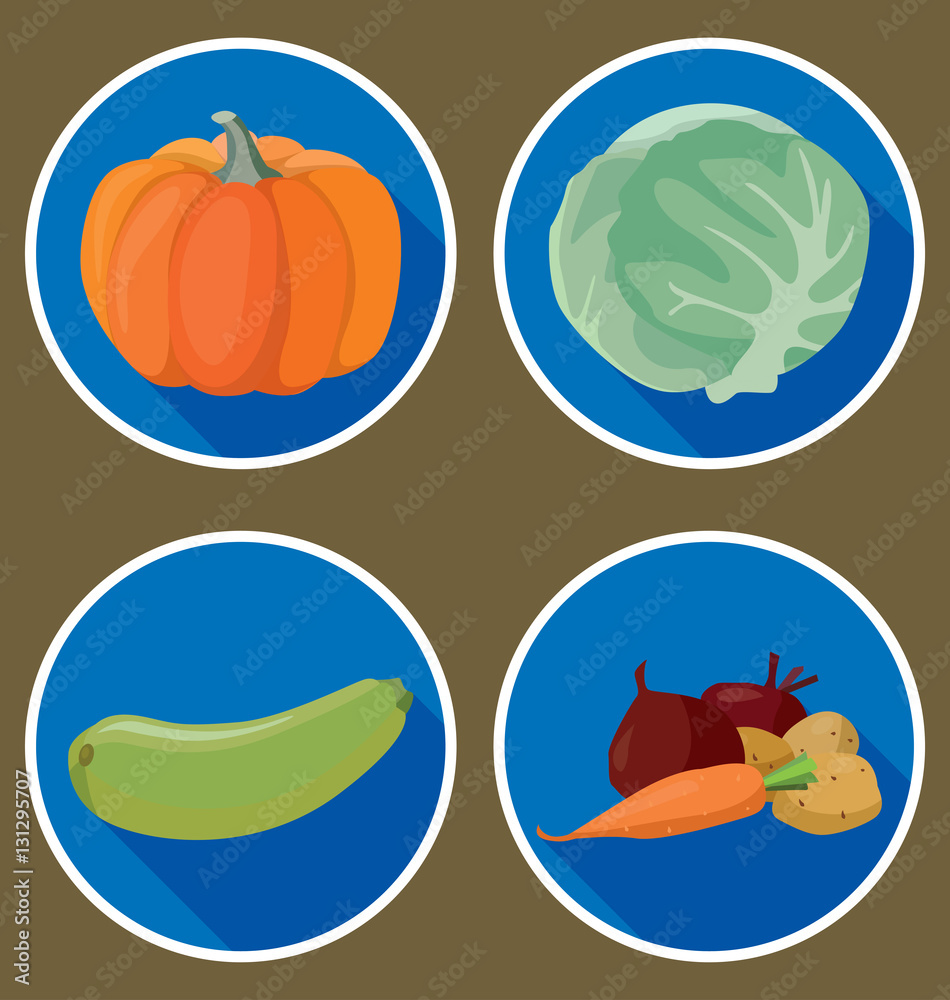Vegetables: pumpkin, zucchini, cabbage, beets, potatoes, carrot Vegetables: pumpkin, zucchini, cabbage, beets, potatoes, carrot
