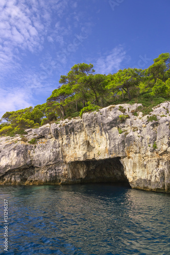 Nature landscape of Gargano National Park: coast of Tremiti Islands' archipelag,Italy (Apulia).Sea (or littoral ) cave topped by Pinus halepensis (or Aleppo pine ) native to the Mediterranean region.