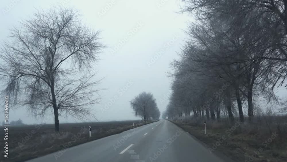 Driving plate front view pov, countryside road car ride on cloudy winter day Driving plate front view pov, countryside road car ride on cloudy winter day