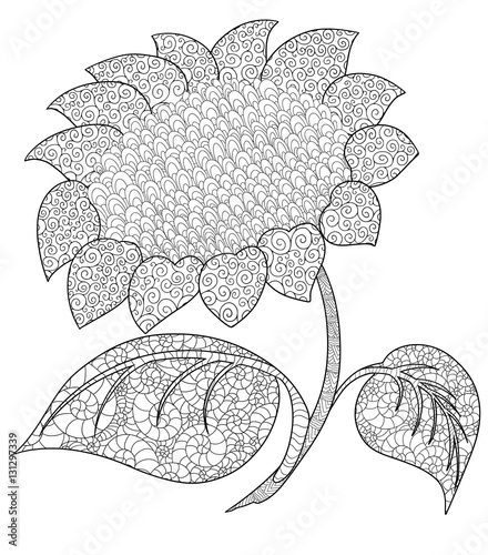 Fototapeta Naklejka Na Ścianę i Meble -  Sunflower doodle coloring book for adult.