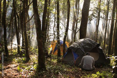 Camping tent in a wooded campsite among trees with light flare effect