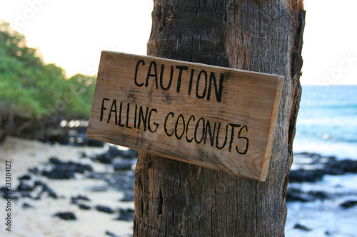 caution falling coconuts