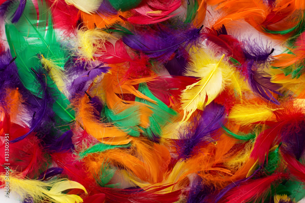 coloured feathers backgound coloured feathers backgound