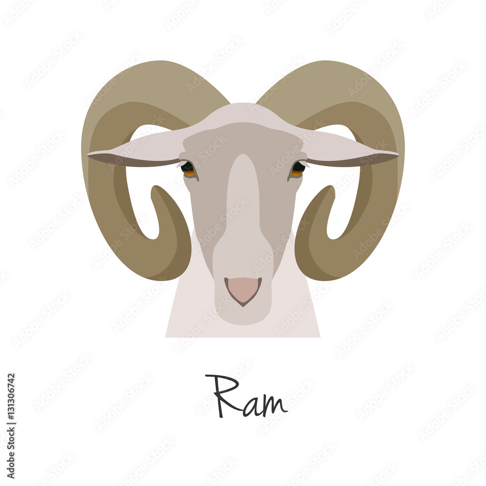 Vector ram head isolated. Flat, cartoon style object Vector ram head isolated. Flat, cartoon style object