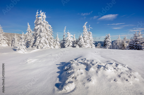 Marvelous winter morning in Carpathian mountains with snow cover © Andrew Mayovskyy