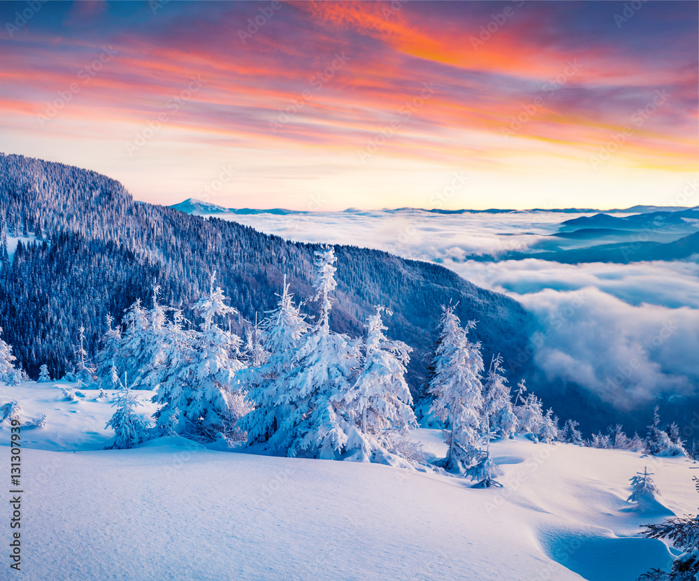 Fantastic winter sunrise in Carpathian mountains with snow cover