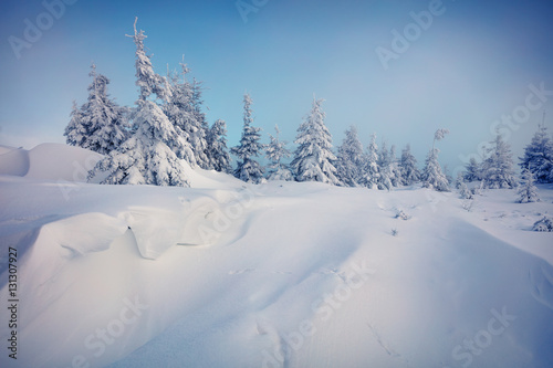 Marvelous winter morning  in Carpathian mountains with snow cove © Andrew Mayovskyy