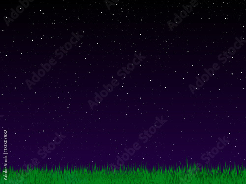 Cosmic vector background with night starry sky and green meadow grass