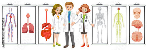 Three doctors and different human system diagrams