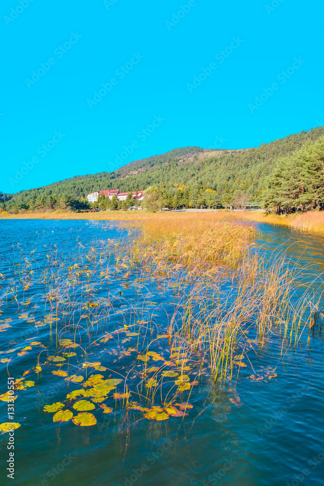 Abant Lake