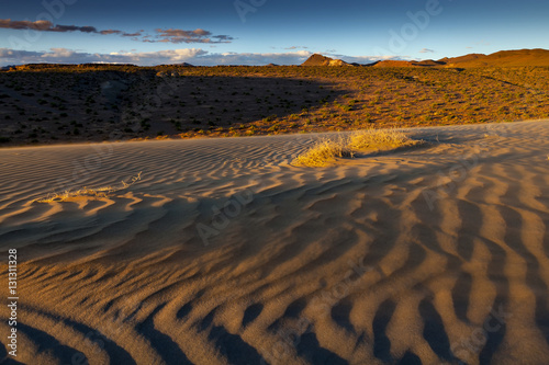 Sand dune with blowing sand at sunset near Nixon  Nevada