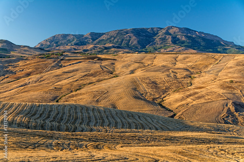 dry fields at Polizzi Generosa, Sicily, Italy photo