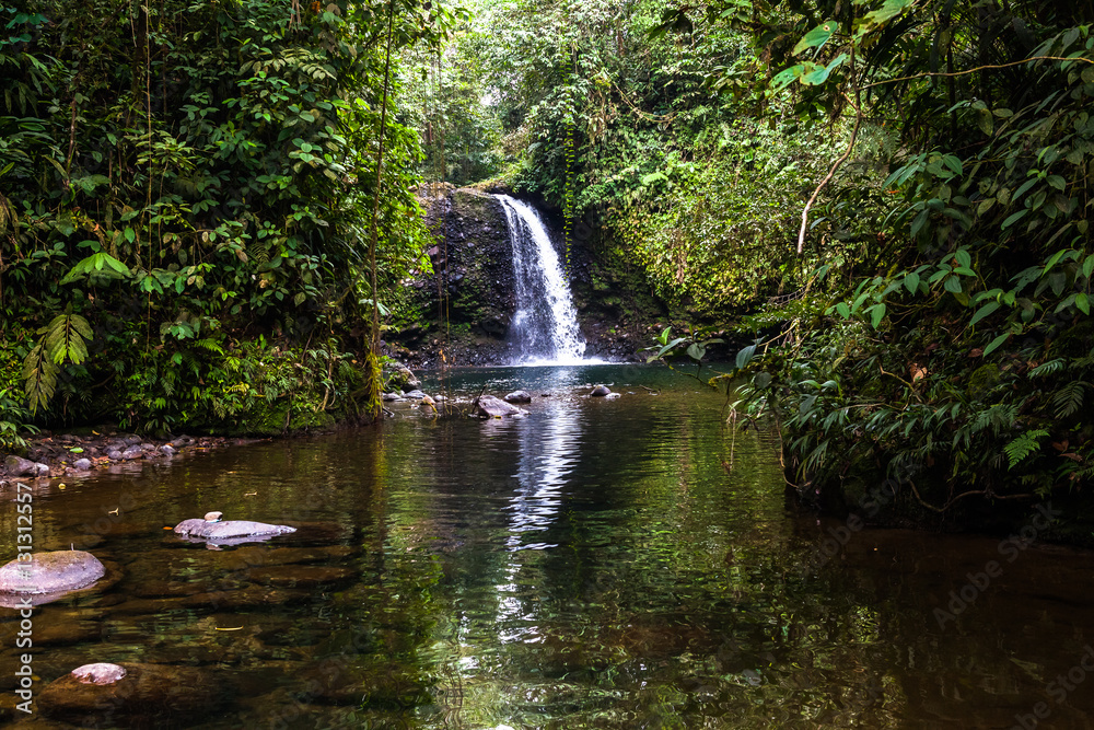 Obraz premium Waterfall in the middle of the Ecuadorian jungle