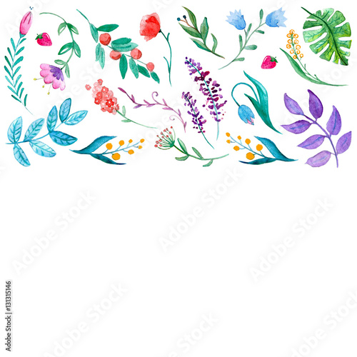 Watercolor pattern with flowers  tropical plants and leaves