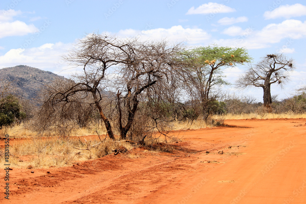 Straße im Tsavo West Nationalpark,  Kenia