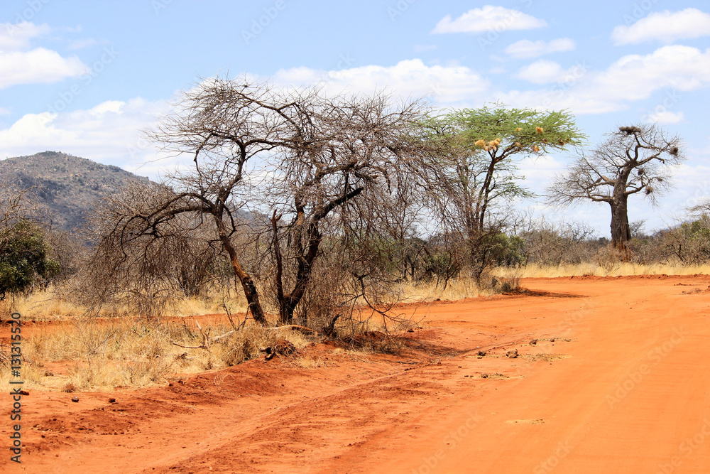 Straße im Tsavo West Nationalpark, Kenia Straße im Tsavo West Nationalpark, Kenia