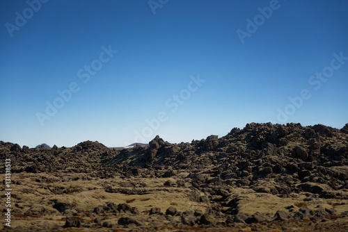 Iceland lava field covered with green moss