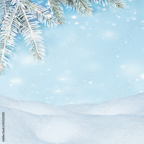 Beautiful winter background. Snowdrifts, spruce branches, flying snow © maria1701