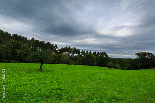 View of the green fields of Laukiz, Basque country photo