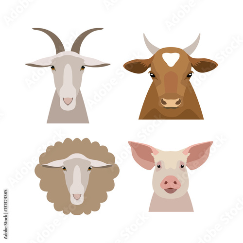 Vector domestic, farm animals head collection in flat, cartoon style