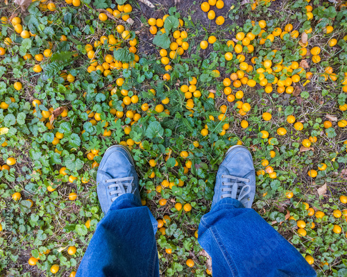 Feet on the green grass. © shahteer