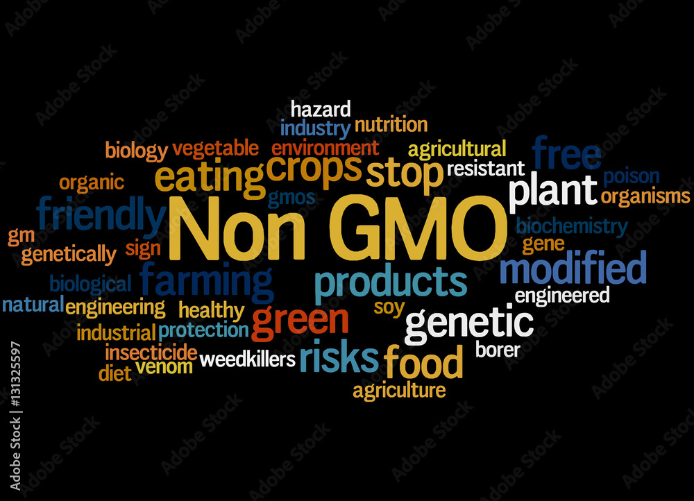 Non GMO, word cloud concept 5