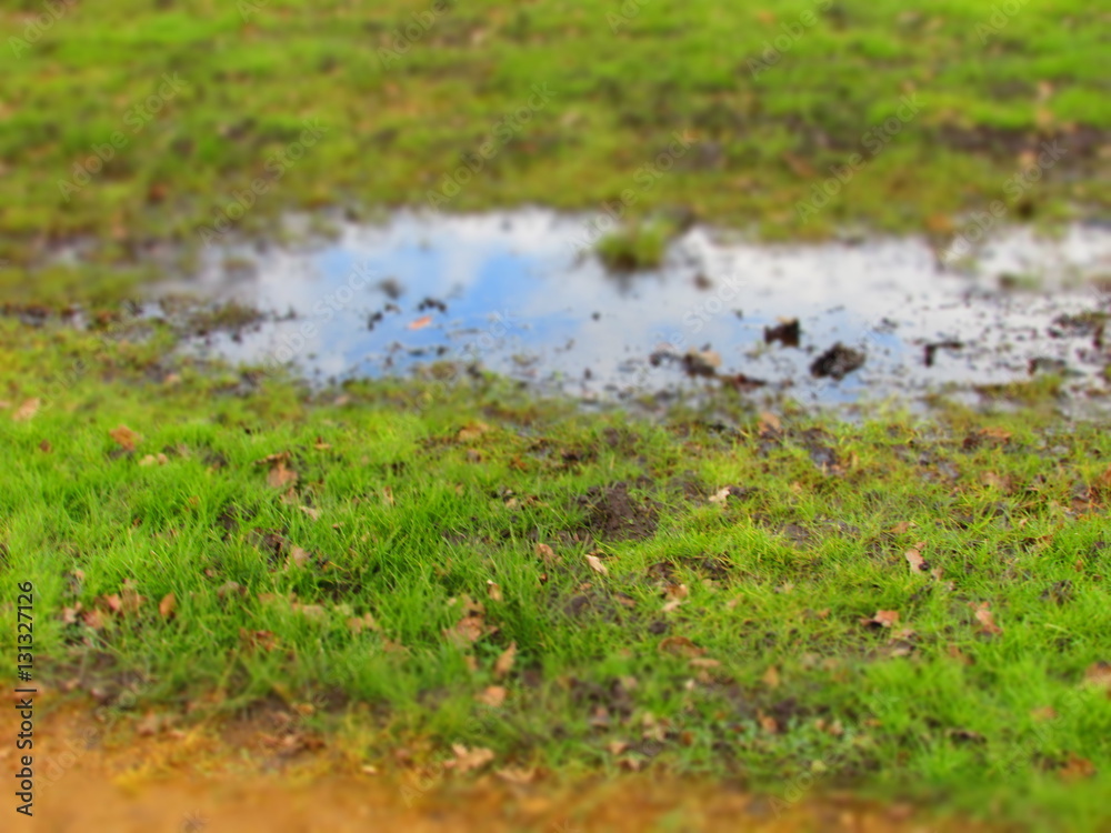 Muddy puddle Muddy puddle