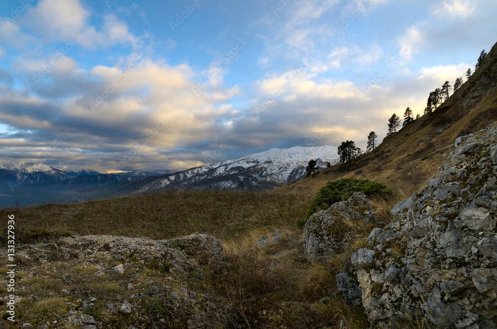 Pine trees on the hillside. Sunset in the mountains. Beautiful f Pine trees on the hillside. Sunset in the mountains. Beautiful f