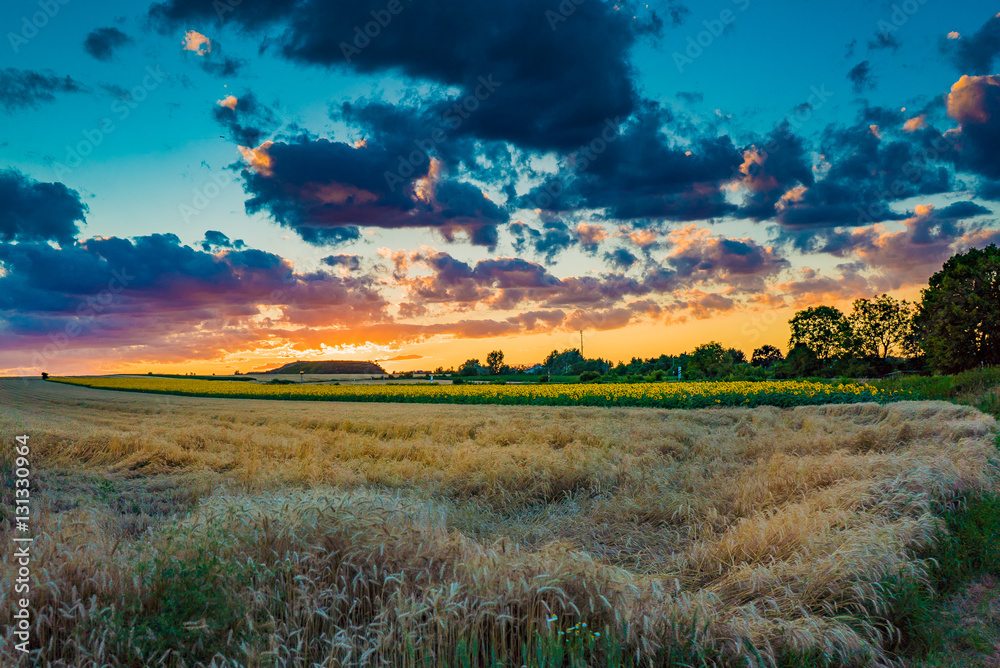 Fototapeta premium Sonnenuntergang am Feld