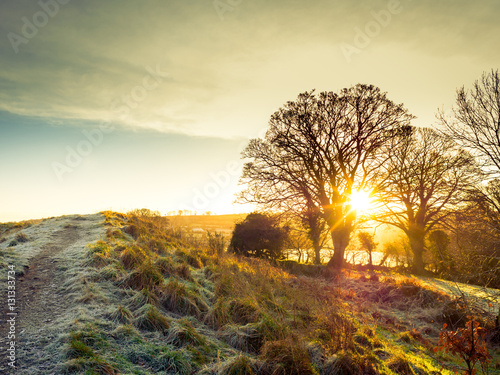 Countryside winter  morning sunrise,Northern Ireland