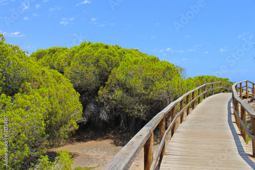 Wallpaper Mural Dunas de Guardamar y la Marina, Alicante Torontodigital.ca