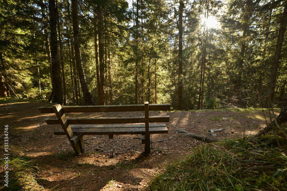 One bench in the middle of nowhere, in beautiful forests of French Alps Mountains, Mont Blanc Massif, close to Switzerland One bench in the middle of nowhere, in beautiful forests of French Alps Mountains, Mont Blanc Massif, close to Switzerland