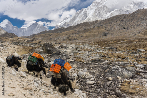 Dingboche to Lobuche, Nepal photo