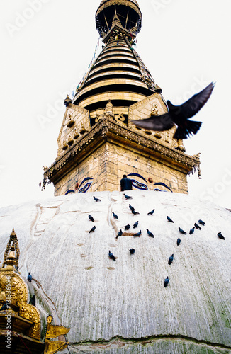 Buddhist Temple with birds flying