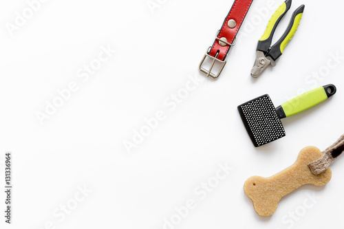 concept pet care and training on white background top view
