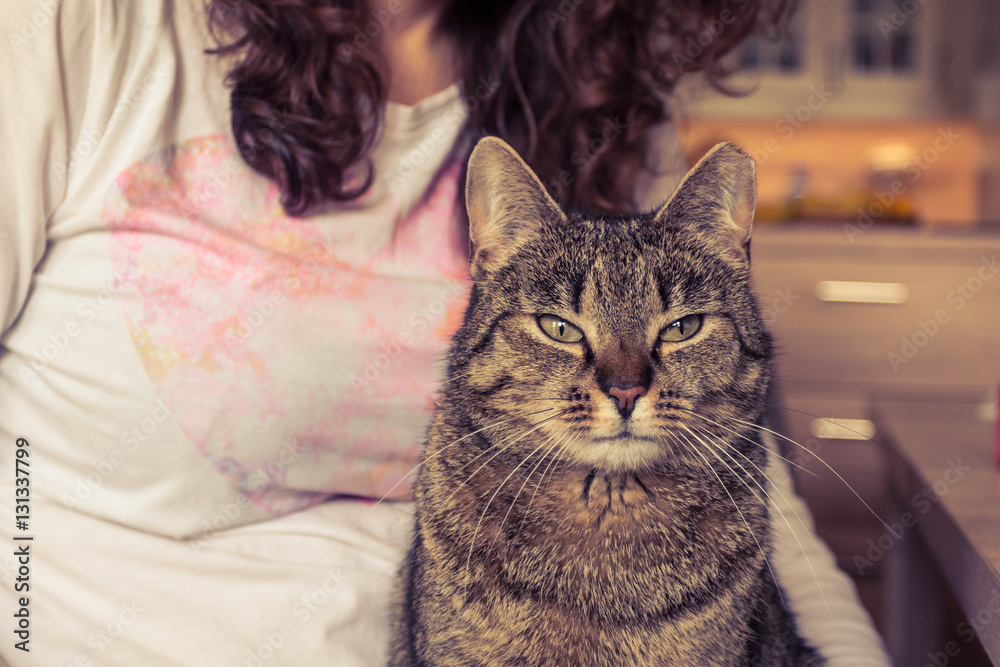 Concetrated cat siting on the lap of a woman. Split toning photo